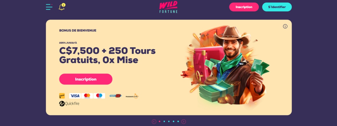 WildFortune Casino